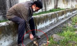 Farelerle dostluğu ile haberlere konu olan kişi otobüs durağında ölü bulundu