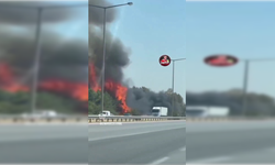 İzmir-Aydın otoyolunda yol kenarındaki ağaçlarda yangın