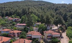 Karacasu Belediyesi'nden yangın uyarısı