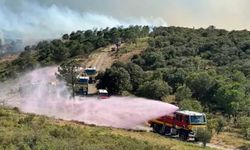 Marsilya alevlere teslim oldu: Havalimanı kapatıldı, evler boşaltıldı