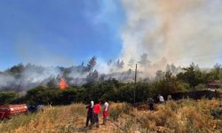Muğla Büyükşehir'den yangın tankerleriyle alevlere karşı güçlü kalkan