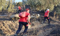 NAFAD yangınlarla mücadelede örnek oldu