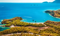 Türkiye'de cennetten bi köşe, doğanın saklı hazinesi: Phaselis Koyu