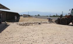 Sultanhisar'da sokak hayvanları için yuva: Çalışmalarda sona gelindi