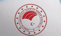 Bakanlık ifşa etti: Salamda domuz eti, baharatta yasaklı boya kullanmışlar! İşte o markalar