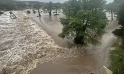 Texas'ta sel felaketi can almaya devam ediyor: 120 ölü, 173 kayıp