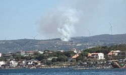 İzmir Urla'da orman yangını başladı: Ekipler müdahale ediyor