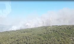 Urla'da makilik alanda yangın: Kontrol altına alındı!