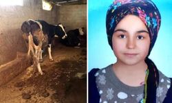 15 yaşındaki Nursel neden öldü?