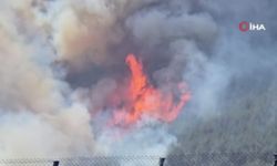 Karabük’te 20 günde üçüncü orman yangını