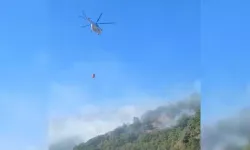 Orman yangını 21 saatin sonunda kontrol altına alındı