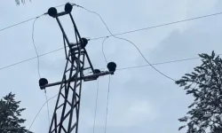 26 yaşındaki genç elektrik akımına kapılarak yaşamını yitirdi