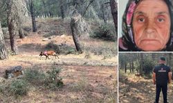 4 gündür kayıp olarak aranıyordu: 77 yaşındaki kadının cansız bedeni bulundu