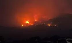 5 köy tehlikede: Çanakkale’de orman yangını korkutuyor!