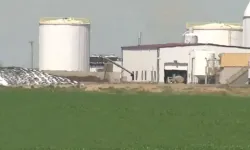 ABD'de çiftlikte korkunç olay: 6 kişinin cansız bedeni bulundu!