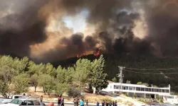 Adıyaman'daki orman yangını hızla yayılıyor: Havadan ve karadan müdahale sürüyor!