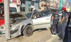Kökü kuruyan ağaç park halindeki otomobilin üzerine devrildi