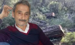 Ağaç kesimi faciaya dönüştü: 67 yaşındaki işçi yaşamını yitirdi!