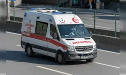 Ağaçtan düşen adam hayatını kaybetti