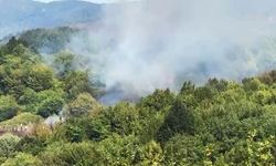 Amasra orman yangınına müdahale sürüyor