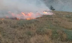Çıkan anız yangınında 250 dönüm tarla zarar gördü