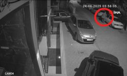 Gece saatlerinde sokak sokak gezdi, park halindeki araçlara zarar verdi