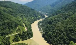 Hindistan'da arazi aracı su kanalına düştü: 11 kişi hayatını kaybetti