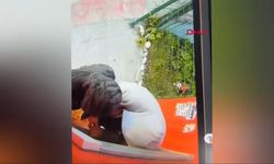ATM'lerin para haznesini tornavida ile kıran şüpheli tutuklandı