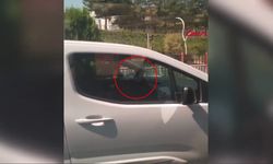 Bir ayağı cam kenarında ticari araç kullandı