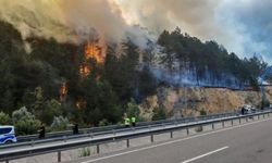Bolu’da orman yangını alarmı: Mengen-Devrek yolu kapandı!