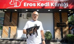Bornova'da "Eros Kedi Kliniği" hizmete girdi