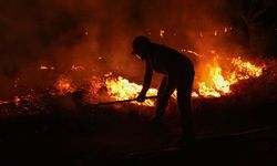 Bornova'da otluk alanda yangın... Ormanlık alana sıçradı!