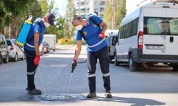 Buca'da haşere ve sineklere karşı 24 saat mücadele