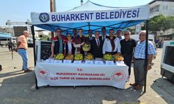 Buharkent'te "Taze İncir Festivali" coşkusu
