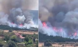 Bursa'da korkutan orman yangını: Havadan ve karadan müdahale sürüyor!