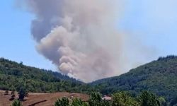 Bursa’da orman yangını: Karadan ve havadan müdahale ediliyor