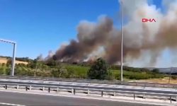 SON DAKİKA | Çanakkale'de tarım arazisinde çıkan yangın ormana sıçradı