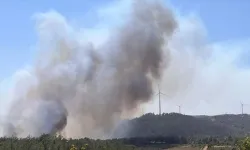 Çanakkale’de yine yangın çıktı: Kaz Dağları tehlikede!