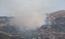 Çorum'da ormanlık alanda yangın