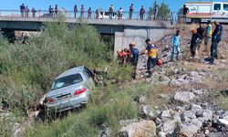 Dere yatağına uçan otomobilde yaşlı çift hayatını kaybetti