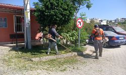 Didim'in yeşil alanlarında yaz mesaisi sürüyor
