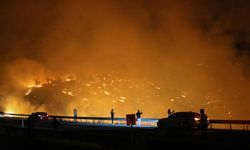 Diyarbakır’da orman yangınına gece boyu müdahale