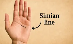 El falında Simian Çizgisi nedir, kimlerde olur?