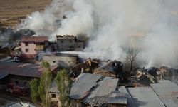 Yangın rüzgarla birlikte büyüdü: Evler ve ahırlar hasar gördü