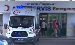 Eşeğin yularına dolanan 7 yaşındaki çocuk hayatını kaybetti