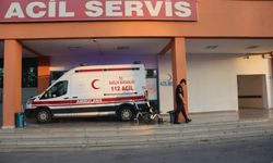 Yaşlı adam sokak ortasında infaz edildi