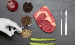 Gıda teknolojisi nedir? Gıda teknolojisi mezunu ne iş yapar?