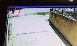 Hafriyat kamyonunun çarptığı iki kişi hayatını kaybetti