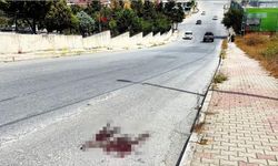 İki kardeş arasında çıkan kavga cinayetle sonuçlandı