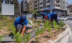 İzmir Büyükşehir'den kuraklığa dirençli peyzaj hamlesi
